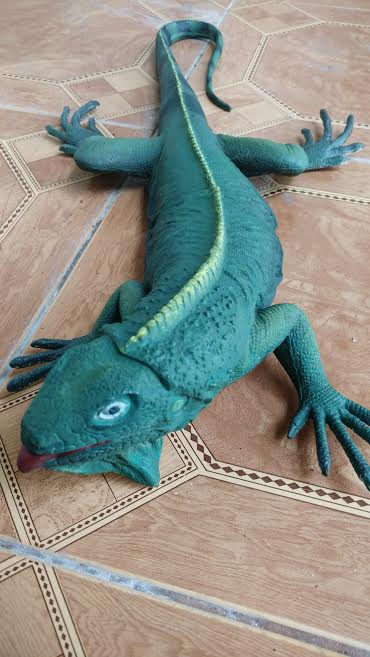 Iguana Statue Touch-up